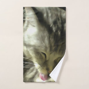 Fourrure Douce Et Douce Et Purée D'Un Chat Gris