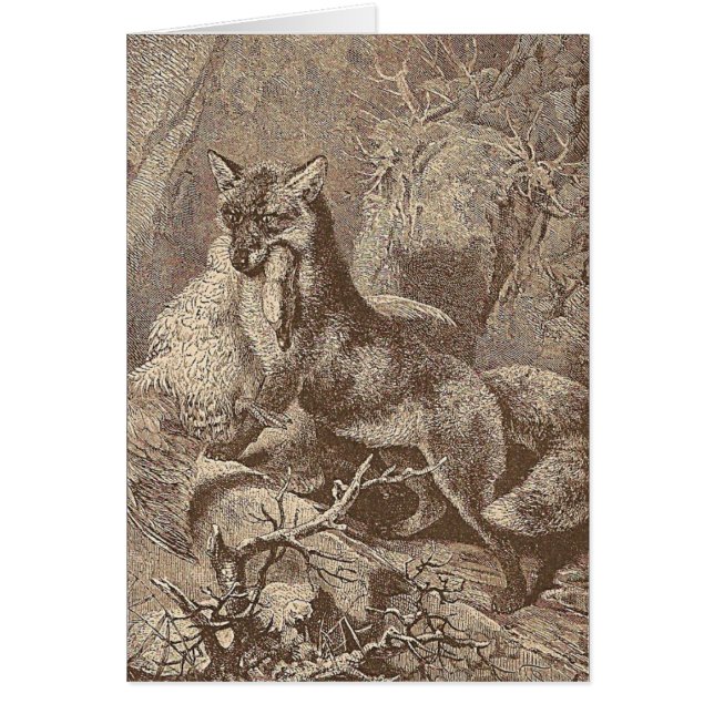 Fox Avec Sa Mort (Devant)