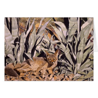 Fox dans le désert "Chambre sûre "