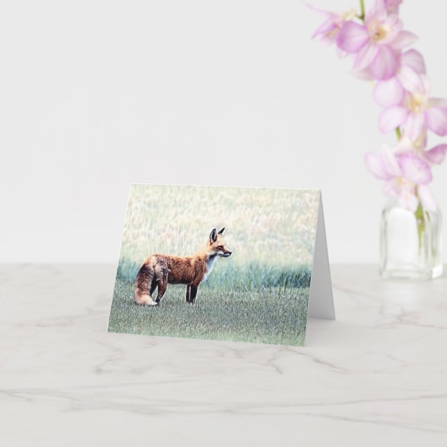 Fox dans l'herbe - Carte de voeux vierge (Orchidée)