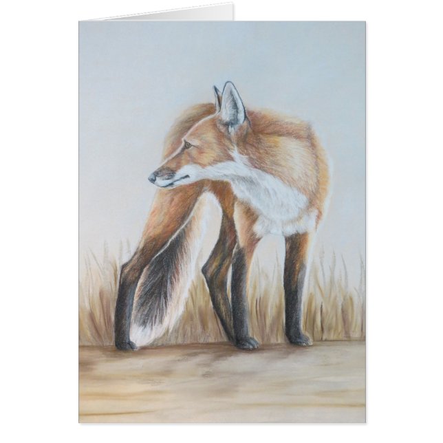 Fox rouge regardant en arrière (Devant)