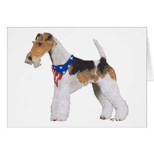 Fox-Terrier à poil dur patriotique