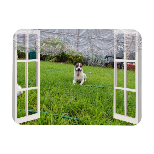 Fox Terrier Come Play, Flexible Magnet (Horizontal)