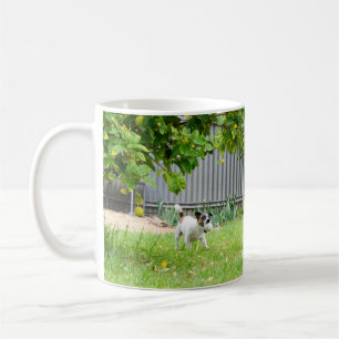 Fox Terrier, Drôle visage effrayant, Mug café blan