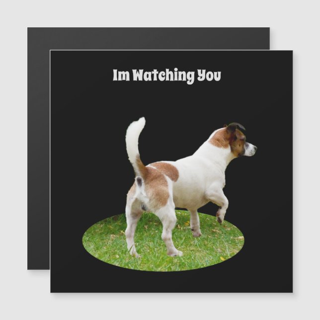 Fox Terrier en service de garde, carte magnétique (Devant / Derrière)