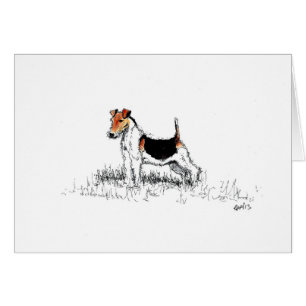 Fox Terrier fier