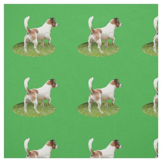 Fox Terrier Le Stance, Tissu (Échantillon)