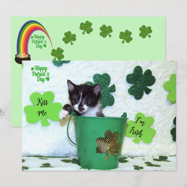 Foxi Moxi's Cat / Kitten St. Patrick's Day (Devant / Derrière)