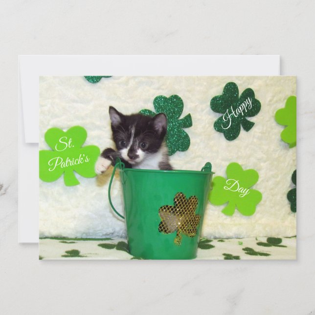 Foxi's St. Patrick's Day Chat/ Kitten - Carte Plat (Devant)