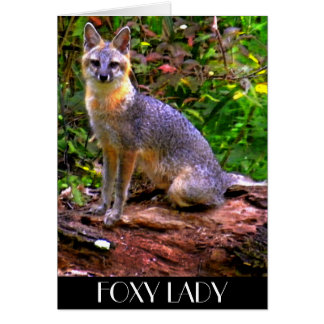 FOXY LADY