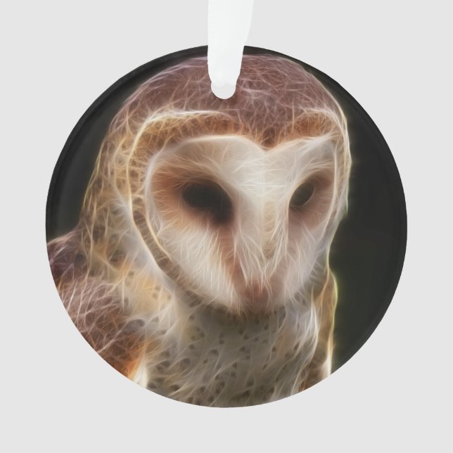 Fractale masquée de hibou (devant)