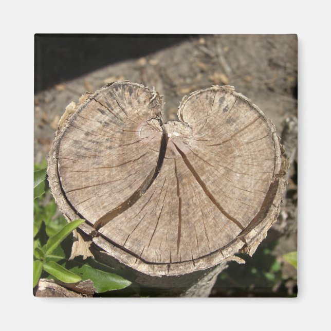 Fractionner les Magnets de souche de coeur (Devant)