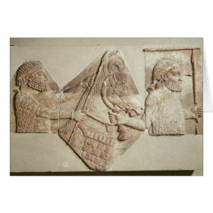 Fragment de tributaires médians de representation