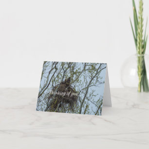 Fraîche Avec Maman Pensant À Ta Carte