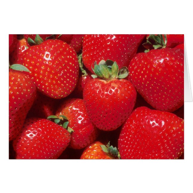 Fraises (Devant horizontal)