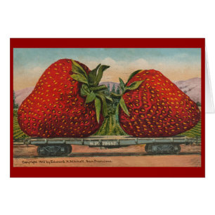 Fraises Giant Fruit Antique Fruit Amusant