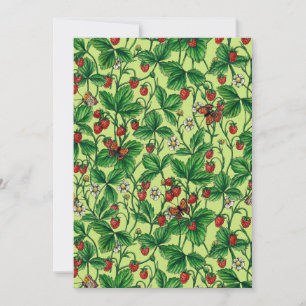 Fraises sauvages sur miellerie