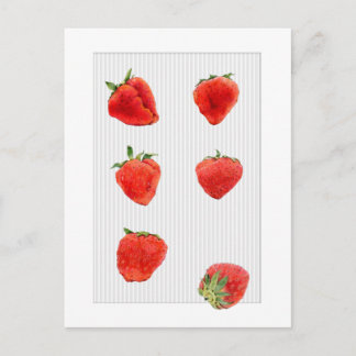 Fraises Tombant rayures grises Carte postale