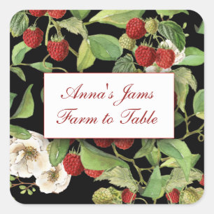 Framboises botaniques sur Étiquette Arrière - plan