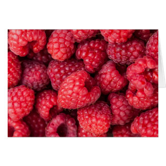 Framboises rouges fraîches