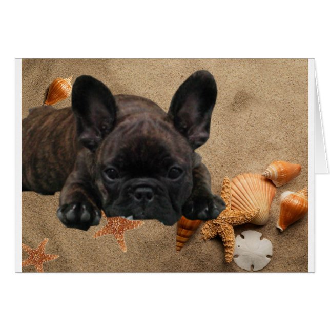 Français. Carte de Bulldog (Devant horizontal)