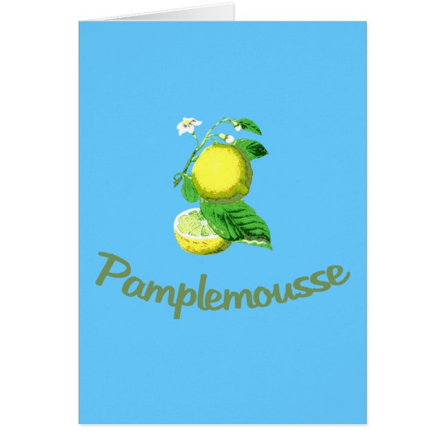 Français de Pamplemousse pour le pamplemousse (Devant)