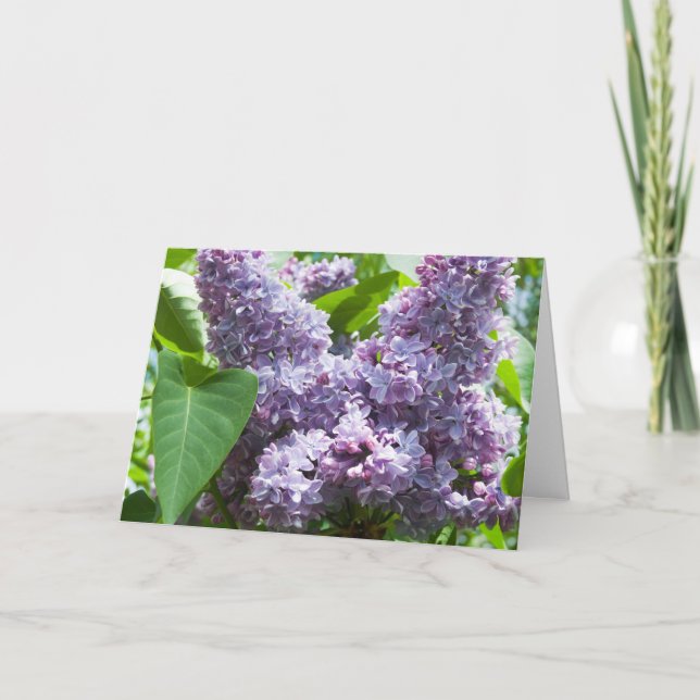 Français Lilac Get Well Card Modèle (Devant)