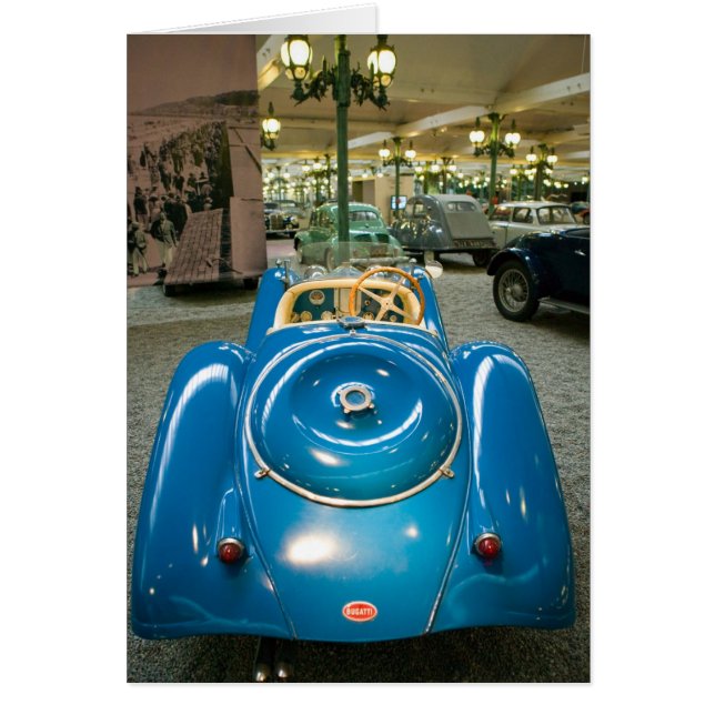 FRANCE, Alsace (Haut Rhin), Mulhouse : Musée (Devant)