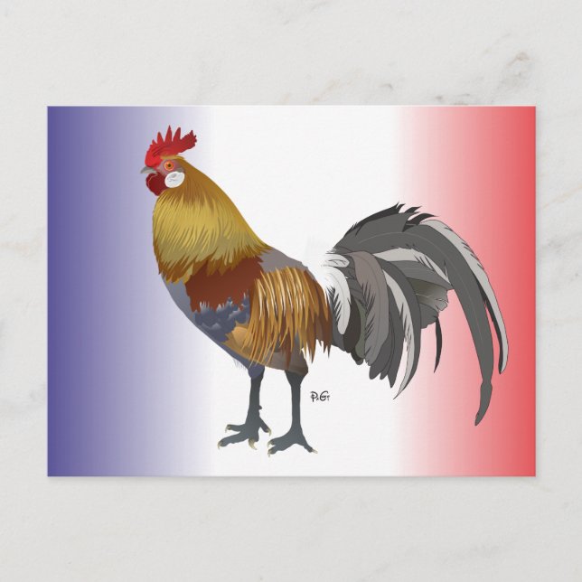 France - Carte postale (Devant)