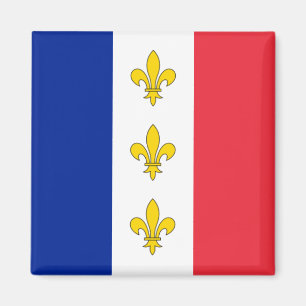 France Magnet - Tricolor & Fleurs-de-Lys