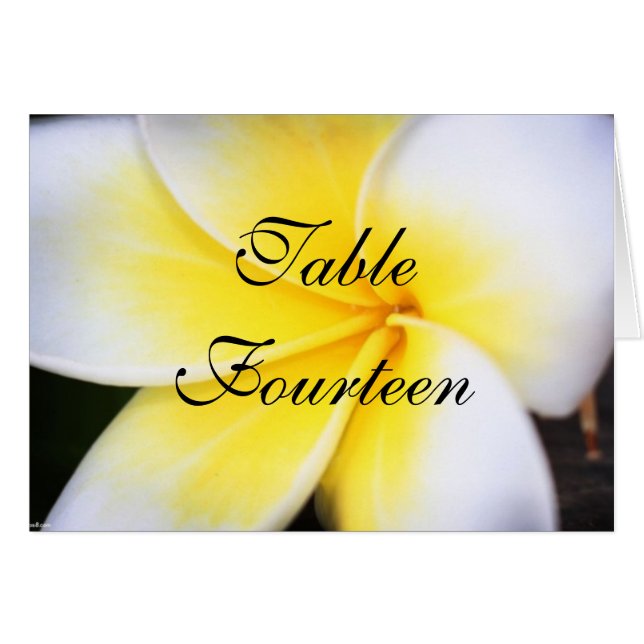 Frangipani - Cartes Numéro de Table Mariage (Devant Horizontal)