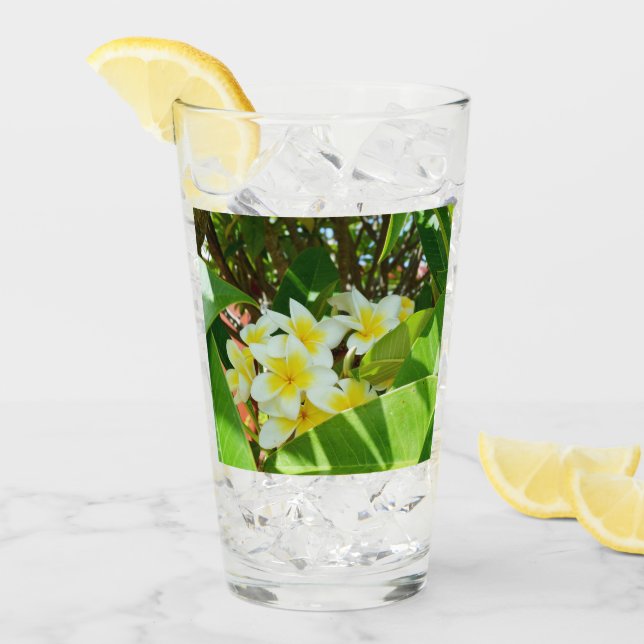 Frangipani jaune, Verre à boire (Devant glace)