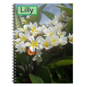 Frangipanis avec papillon, Carnet Customisé