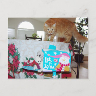 Frank&Leo : As-tu vu le chat ? carte postale