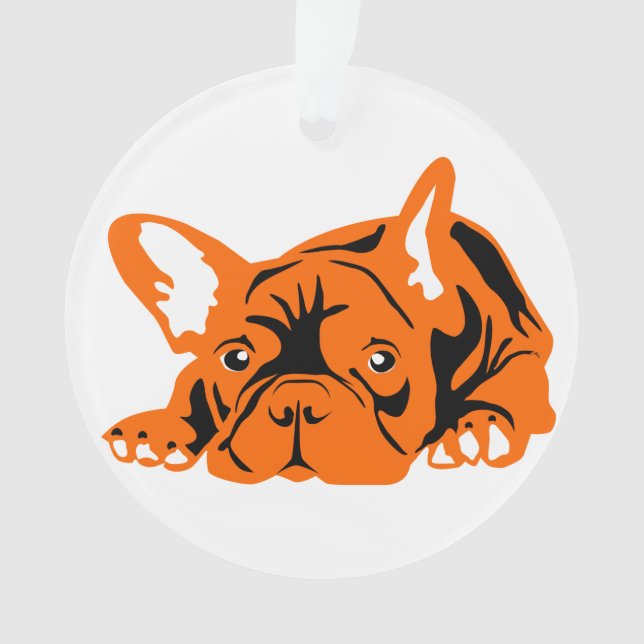 Französische Bulldogge orange (devant)