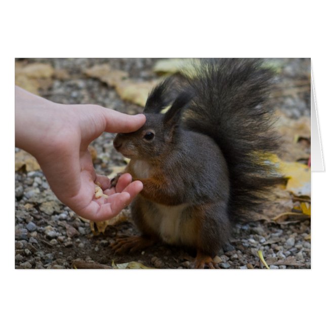 frapper un écureuil (Devant horizontal)