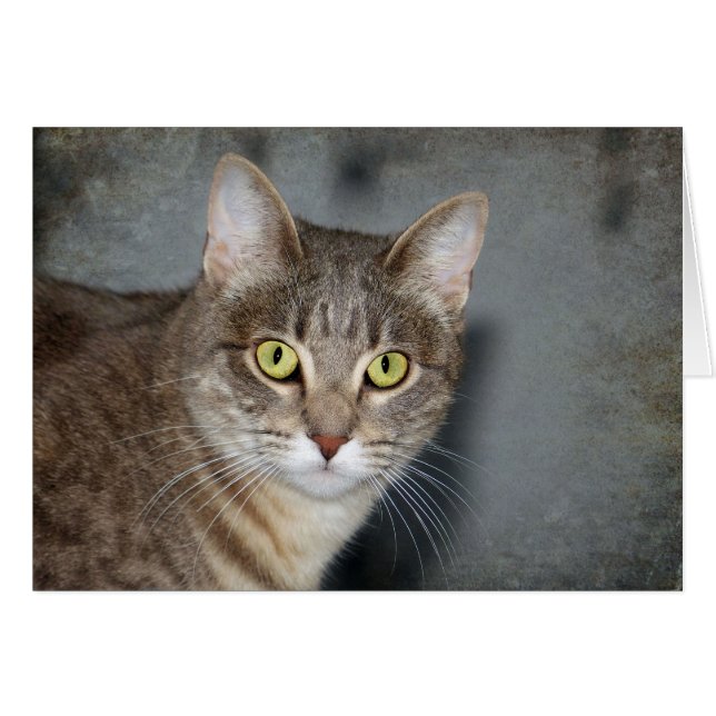 Fred (Devant horizontal)