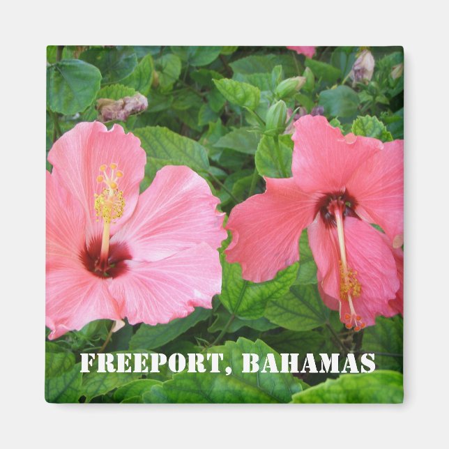 Freeport, Bahamas Magnet (Devant)