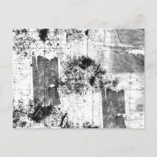 Freestyle En Noir Et Blanc Carte Postale