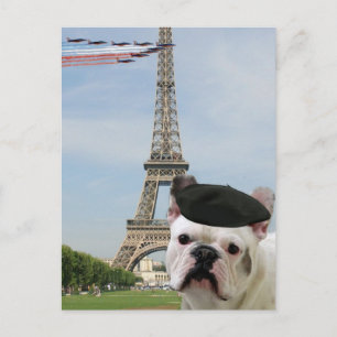 French Bulldog à Paris carte postale