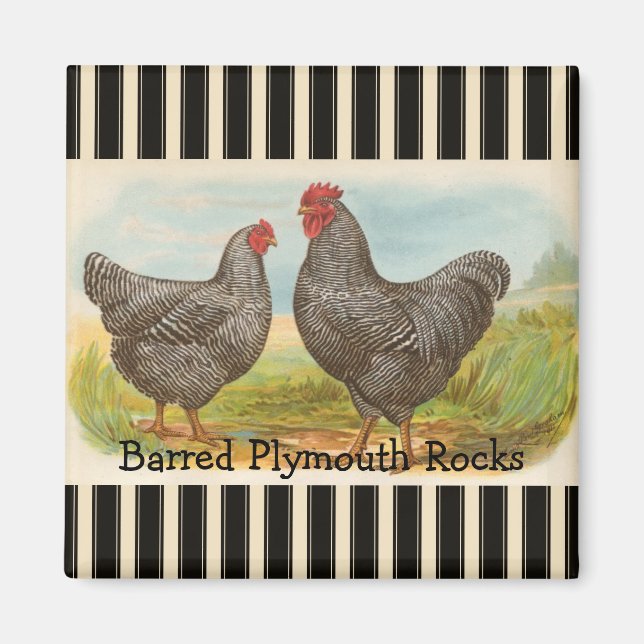 French Country Roster Hen Poultry Frigo Magnet (Devant)