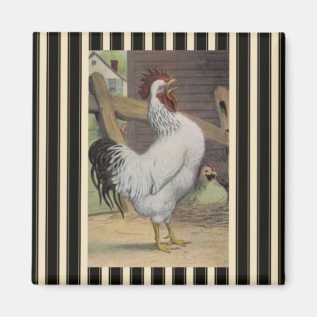 French Country White Roster Hen Frigo Magnet (Devant)
