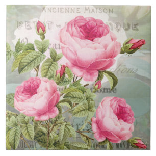 French Redoute Roses Roses Roses Rose Carreaux cé