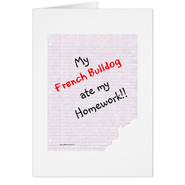 Frenchie Mate Mes devoirs (Devant)