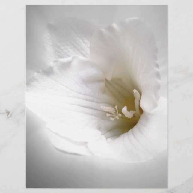 frénésie blanche (Devant)
