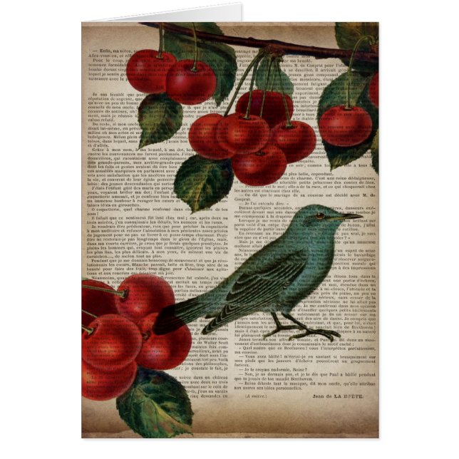 frentry bird retro botanical red cherry (Devant)