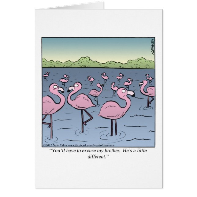 Frère de Flamant rose (Devant)