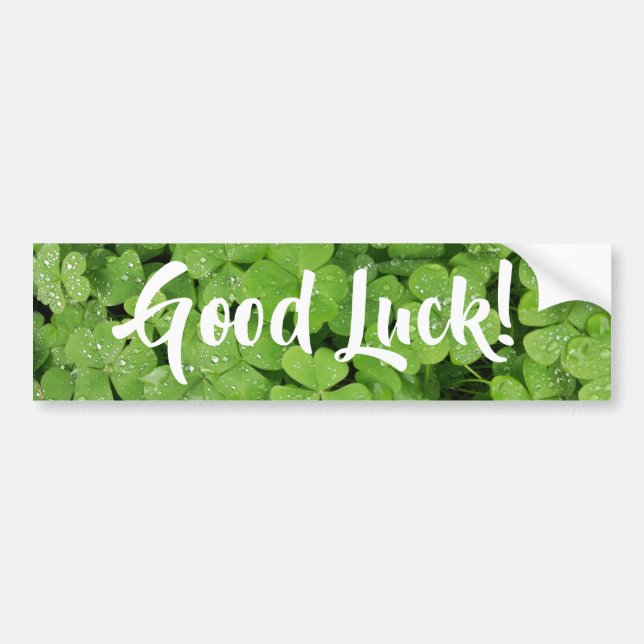 Fresh green shamrock good luck bumper stickers (Devant)