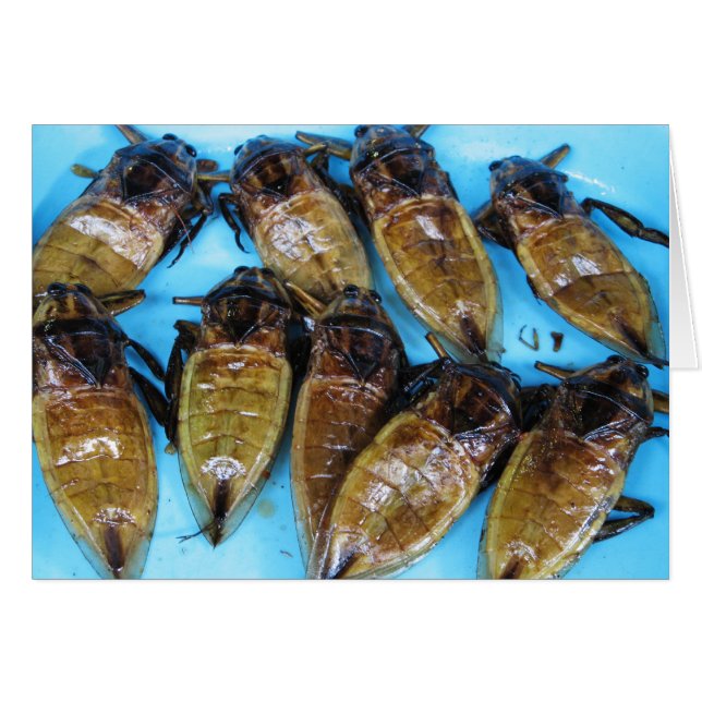 Fried Giant Water Bug (Maeng Daa) ... Asian Food (Devant horizontal)