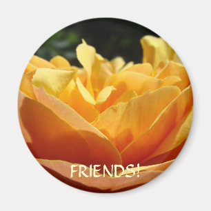 FRIENDS Aimants Orange Rose Personnaliser le Texte